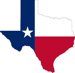 We recently acquired a Texas-based web company